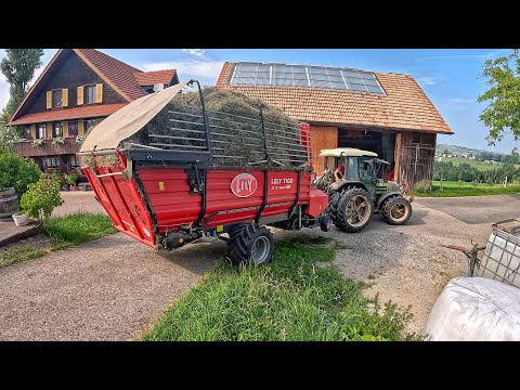 COWS will be HUNGRY, we are harvesting hay, but there will not be enough for WINTER