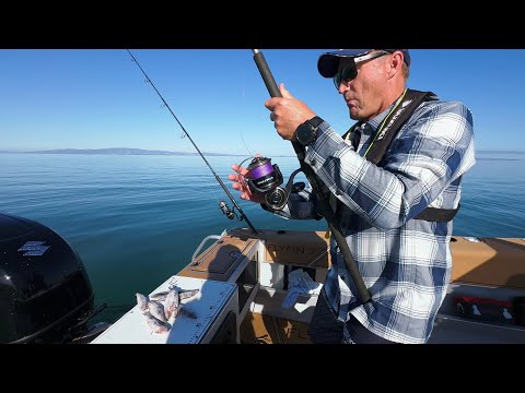 Huge Live Bait Eaten by A FISH OF A LIFETIME