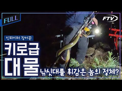 [Full] A Night of Extremes at Soyang Lake... Encounter with a Kilo-class Giant [Infighter Eel Hun...