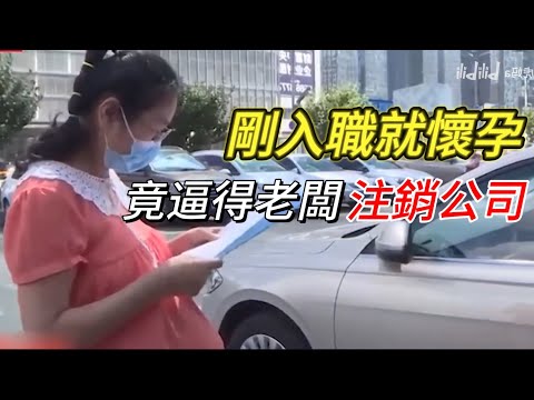 懷孕了就找個公司白嫖，竟逼得老闆註銷企業？！前人造孽，後人遭殃｜男人歌Man's Song