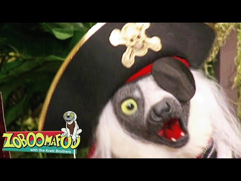 Treasure Hunt | Zoboomafoo - WildBrain | Movies for Kids