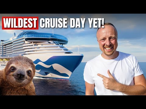 The Sun Princess Adventure NOBODY Saw Coming