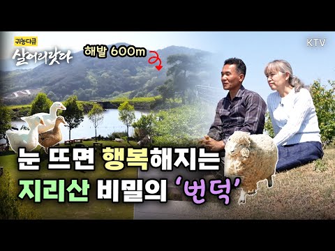 (전남 구례/345회) 해발 600미터, 지리산 '비밀의 언덕'에 사는 낭만부부! ㅣ#귀농 #귀촌 #지리산 #살어리랏다 #구례군