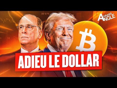 The United States SHORTS the DOLLAR! (They've Got It All)