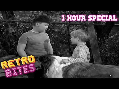 Lassie | 1 Hour Special | Full Episodes  🐕