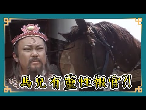 包青天經典精華／馬兒有靈性報官?! 靈性黑馬載主人遺體奔開封府喊冤 包公竟直接審下去!｜貞節牌坊 Bao Thanh Thiên