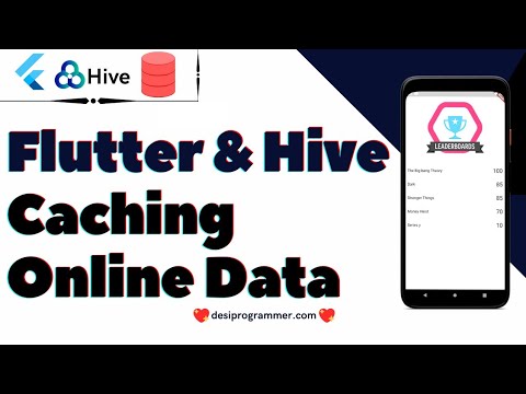Flutter Offline Mode | Caching API Data Using HIVE Database |