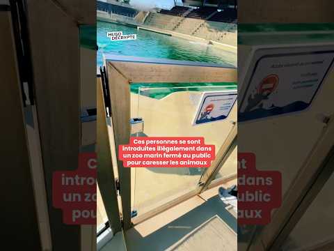 Des personnes se sont introduites au Marineland d’Antibes pour… caresser les animaux