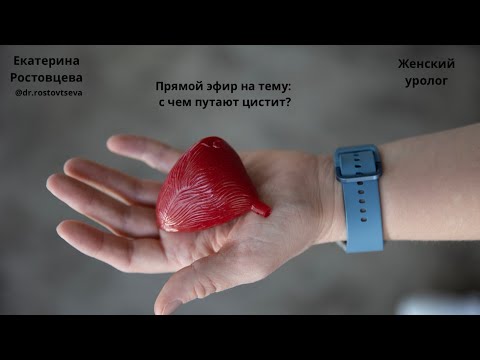 С чем путают цистит?