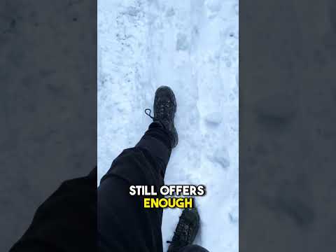 The Surprising Effect of Walking in Nature 🌳