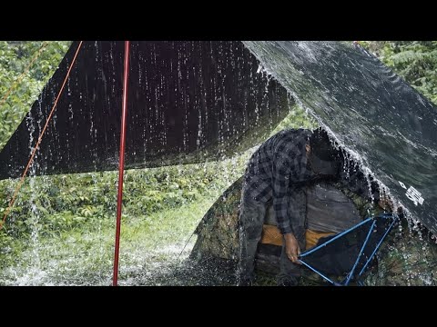 SOLO CAMPING IN THE HEAVY RAIN FOREST 🌧️ RELAXING HEAVY RAIN CAMPING || ASMR RAIN CAMPING