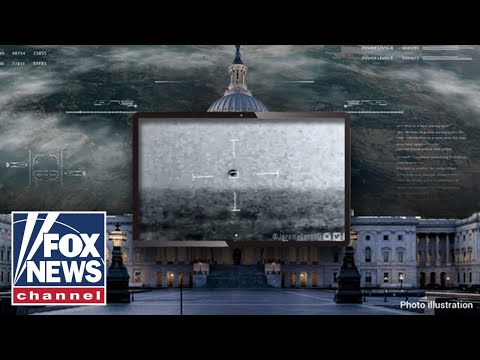 'They're not human': Watch government officials BREAK silence on non-human life