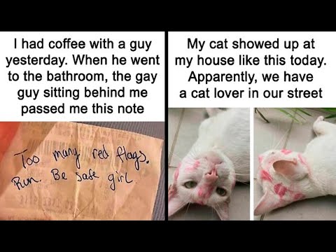 Memes So Funny, They Could Power a Sunny Day | HahaHub