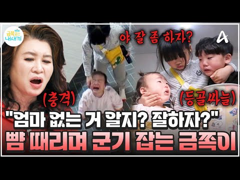 [#금쪽이] 첫째가 없어지면 바로 최강 보스가 되는 셋째😎 그런데 서열 정리가 조금 무섭다...?!😥 | 금쪽같은 내새끼 236회