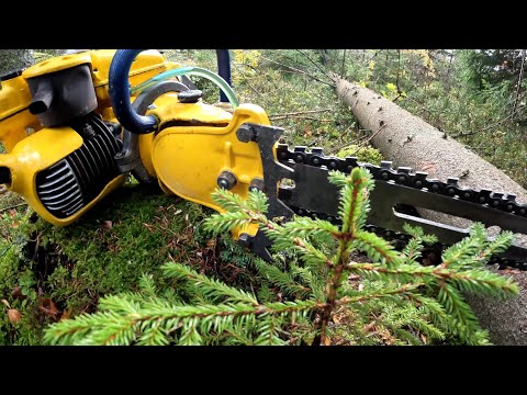 Restore a Rusted-up Chainsaw.