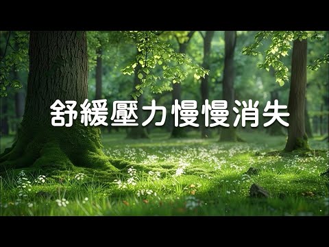 【100%無廣告輕音樂】 聽完這首放鬆音樂後，舒緩壓力慢慢消失 - 恢復疲憊的身心、帶來放鬆效果，緩解憂鬱症與恐慌障礙，改善失眠（實際有效）