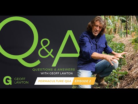 Food Garden Priorities | Permaculture Q&A