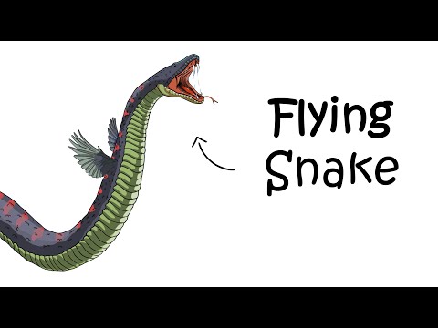 Why It Sucks to Be Born as a Flying Snake