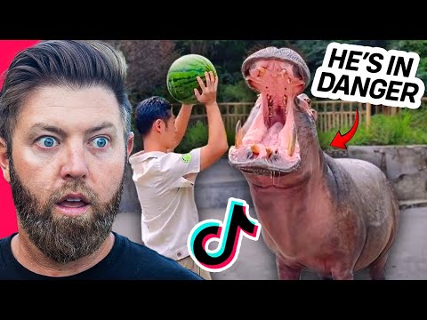 Wildlife Expert Reacts To Viral Animal TikToks