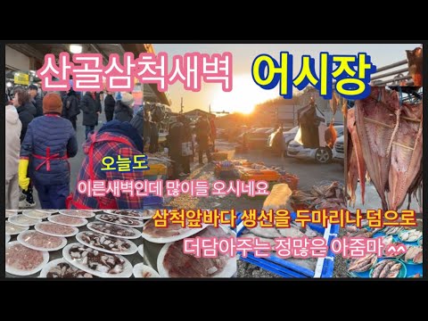 산골삼척새벽어시장 먼곳에서 밤길을달려오시는분들이 많아요.생선을샀는데 두마리를 덤으로 주시는아줌마 ….