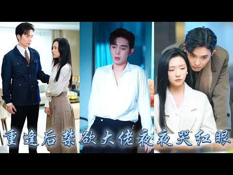 I thought CEO hated me, but when we met again, he kissed me cry begged me to love him again