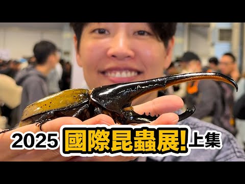 世界最大昆蟲展在台灣!一年一度必看重點!最厲害的寵物昆蟲爬蟲擾西帶你一次看過癮!
