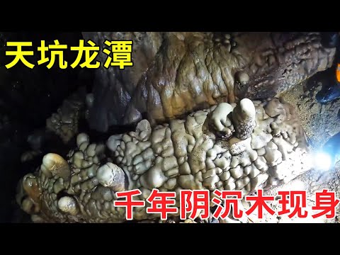 诡异的天坑龙潭深藏神鱼传说，千年阴沉木现身，惊险历历在目！