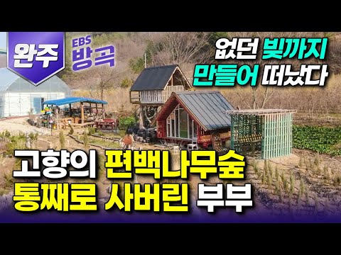 [전북 완주] "내 나이 반백살 드디어 이룬 꿈" 시골이 그리워 도시생활 청산하고 대출까지 받아 고향의 편백나무 숲을 통째로 산 남자┃편백숲 시골집┃#한국기행 #방방곡곡