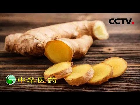 《中华医药》春夏养阳巧用姜：“冬吃萝卜夏吃姜”百岁国医大师介绍怎样吃姜？20190525 | CCTV中文国际