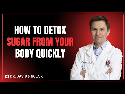 How To Detox Sugar From Your Body QUICKLY ⚡