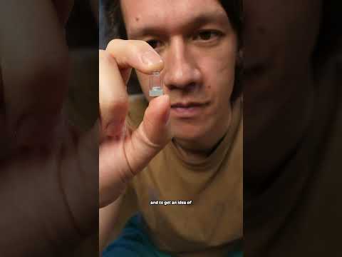 a very expensive woodlouse