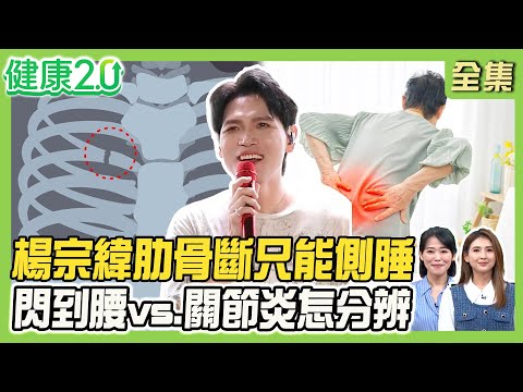 楊宗緯肋骨斷6根 連枷胸恐致氣胸！鄭秀文後腰撕裂傷 閃到腰vs小面關節炎怎分辨？落枕手麻脖子痛 3分鐘抬手自我檢測！健康2.0 20251101【完整版】#陳欣湄#韋汝#楊鯉魁#柳朋馳#王思恒#胡逸惟