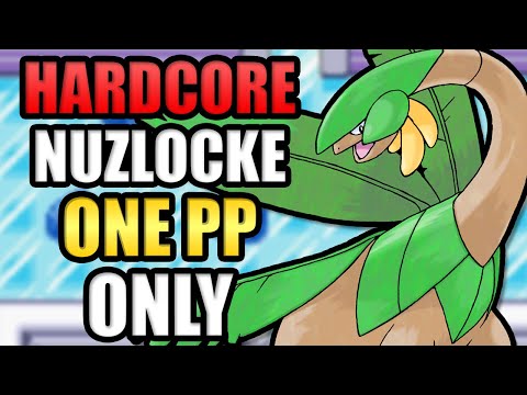 Can I Beat A Hardcore Nuzlocke With Only One PP Per Move?