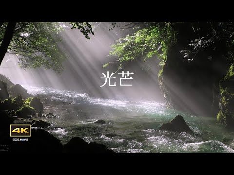 4K  自然環境動画 / 幻想的な川霧と光芒 / 7月の円原川 / 光芒出始めの時刻
