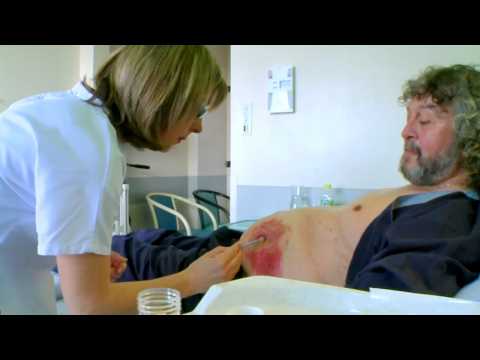 Bees are the new healers