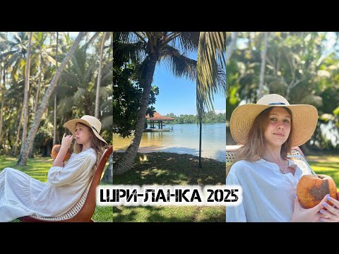 Шри-Ланка 2025 в феврале | Travel vlog | отель Club Bentota