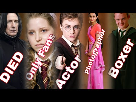 Harry Potter Cast: Where Are They Now? Shocking Transformations!
