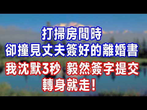 打掃房間時,卻撞見丈夫簽好的離婚書,我沈默3秒,毅然簽字提交,轉身就走!#人生感悟 #故事分享 #故事頻道 #生活經驗 #为人处世 #打脸