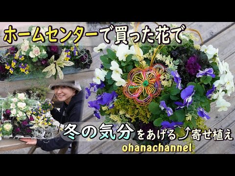 [Winter potted plants] Make a potted plant that will lift your winter spirits with flowers purcha...