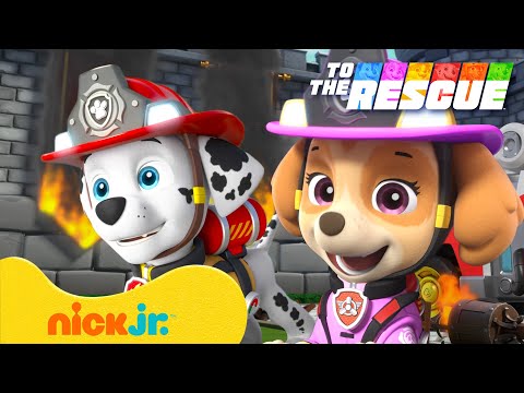 PAW Patrol | PAW Patrol: Luft- & Feuerrettung mit Skye & Marshall! 🚁🚒 | Nick Jr. Deutschland