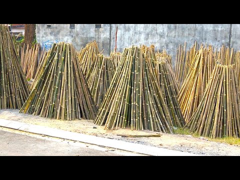 Bamboo factory in Vietnam. Amazing working process!