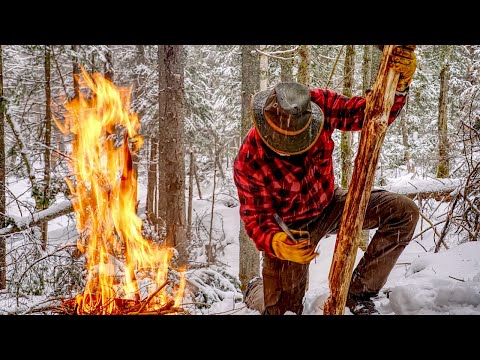 A Month in an Off Grid Log Cabin in the Wilderness with my Dog - January in Canada