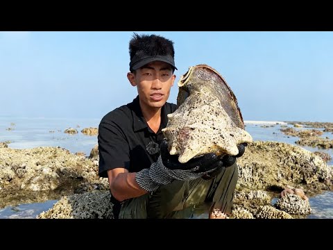 印尼野豬島生存挑戰（上）！潛水抓到比人頭還大的海袋子，烤肉後不加調味料也很鮮美【探索兄弟】