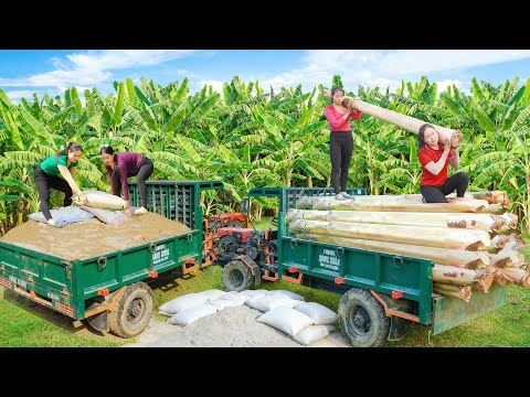 Use Truck To Transport Sand And Cement - Transport Many Banana Tree Stems For Farm