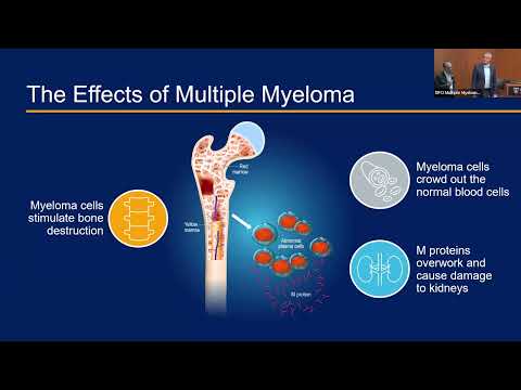 Multiple Myeloma 101 for 2025: Diagnosis, Prognosis, and Risk