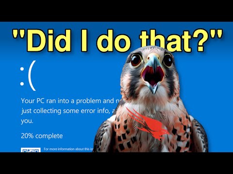 Systemic risk exposed: the Crowdstrike global outage