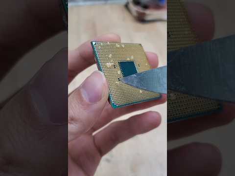 the bread CPU has returned home