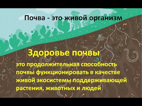 Что такое Здоровье Почвы. Старая, но хорошая лекция в университете 2019г.