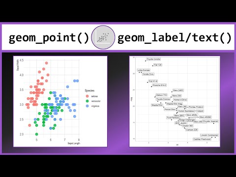 Scatterplots in R with geom_point() and geom_text/label()