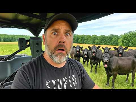 Sorry Cows, This Has to Happen